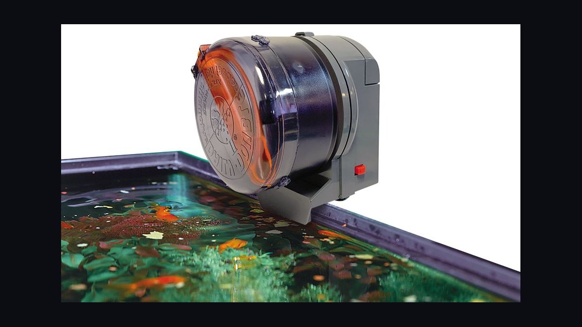 Top 10 High-Tech Automated Fish Feeders for Busy Aquarium Owners in 2027 — figure 6