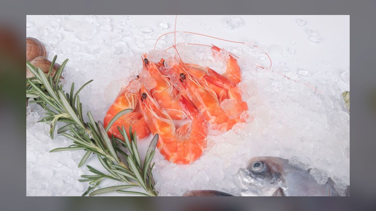 Top 10 Low-Maintenance Freshwater Shrimp Species for Nano Tanks in 2027 — figure 10
