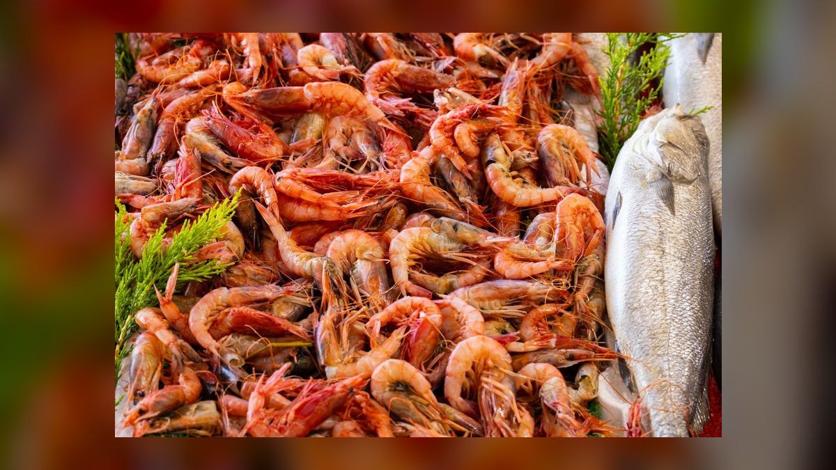 Top 10 Low-Maintenance Freshwater Shrimp Species for Nano Tanks in 2027 — figure 9