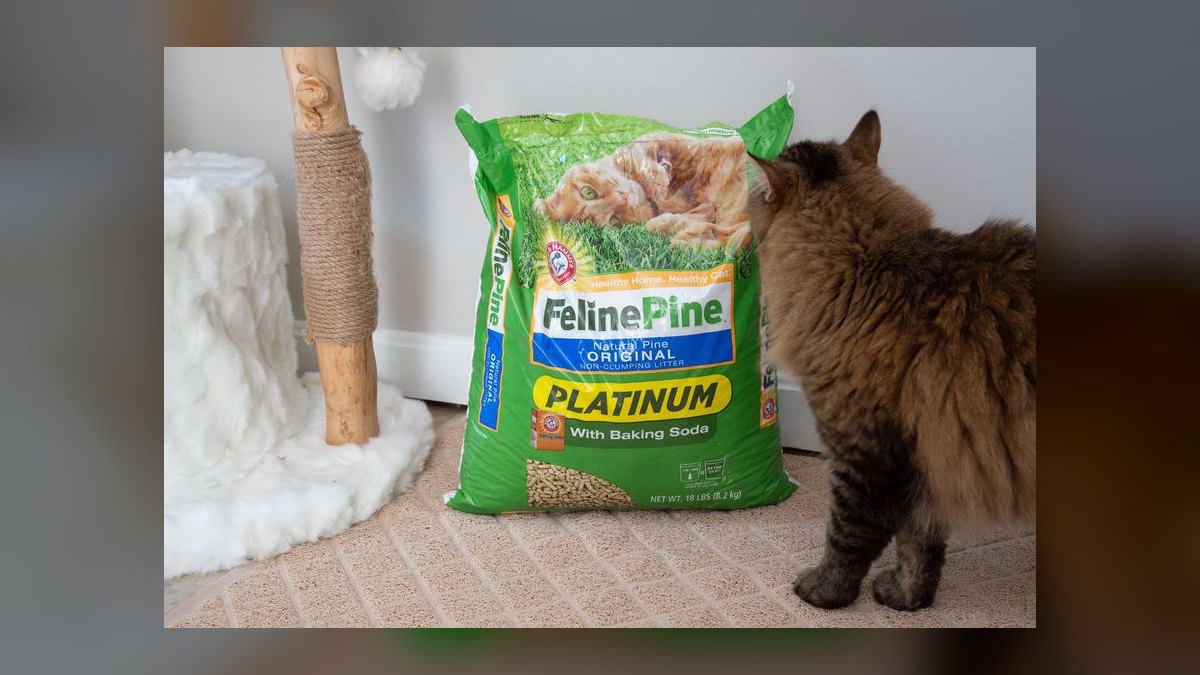 Top 10 Biodegradable Cat Litter Substrates for Eco-Conscious Owners in 2027 — figure 4