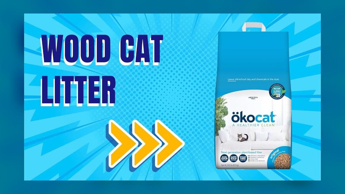 Top 10 Biodegradable Cat Litter Substrates for Eco-Conscious Owners in 2027 — figure 9