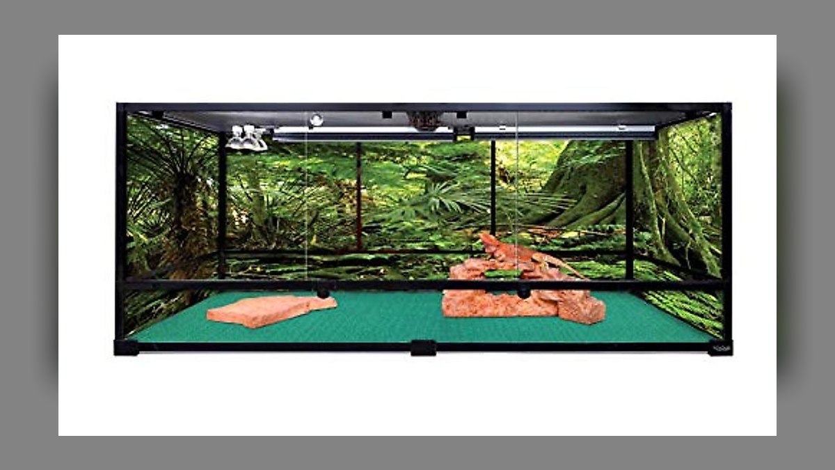 Top 10 Heated Reptile Caves for Nocturnal Gecko Species in 2027 — figure 9