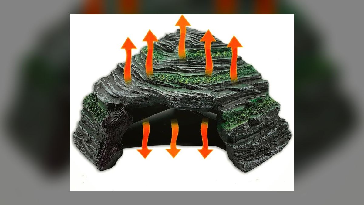 Top 10 Heated Reptile Caves for Nocturnal Gecko Species in 2027