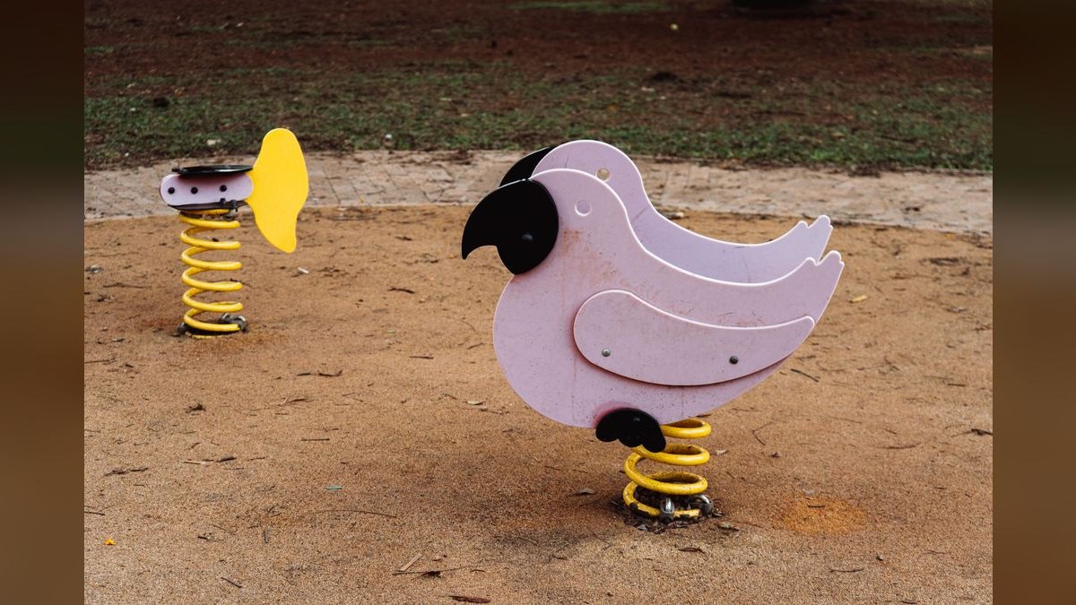 Top 10 Bird Play Gyms with Foraging Toys for Cockatiels in 2027 — figure 2
