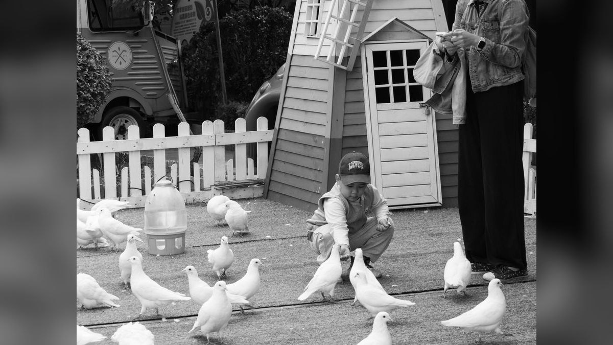 Top 10 Bird Play Gyms with Foraging Toys for Cockatiels in 2027 — figure 3