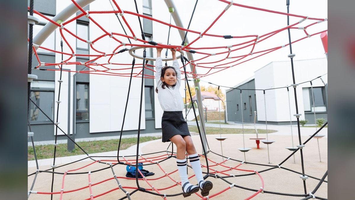 Top 10 Bird Play Gyms with Foraging Toys for Cockatiels in 2027 — figure 6