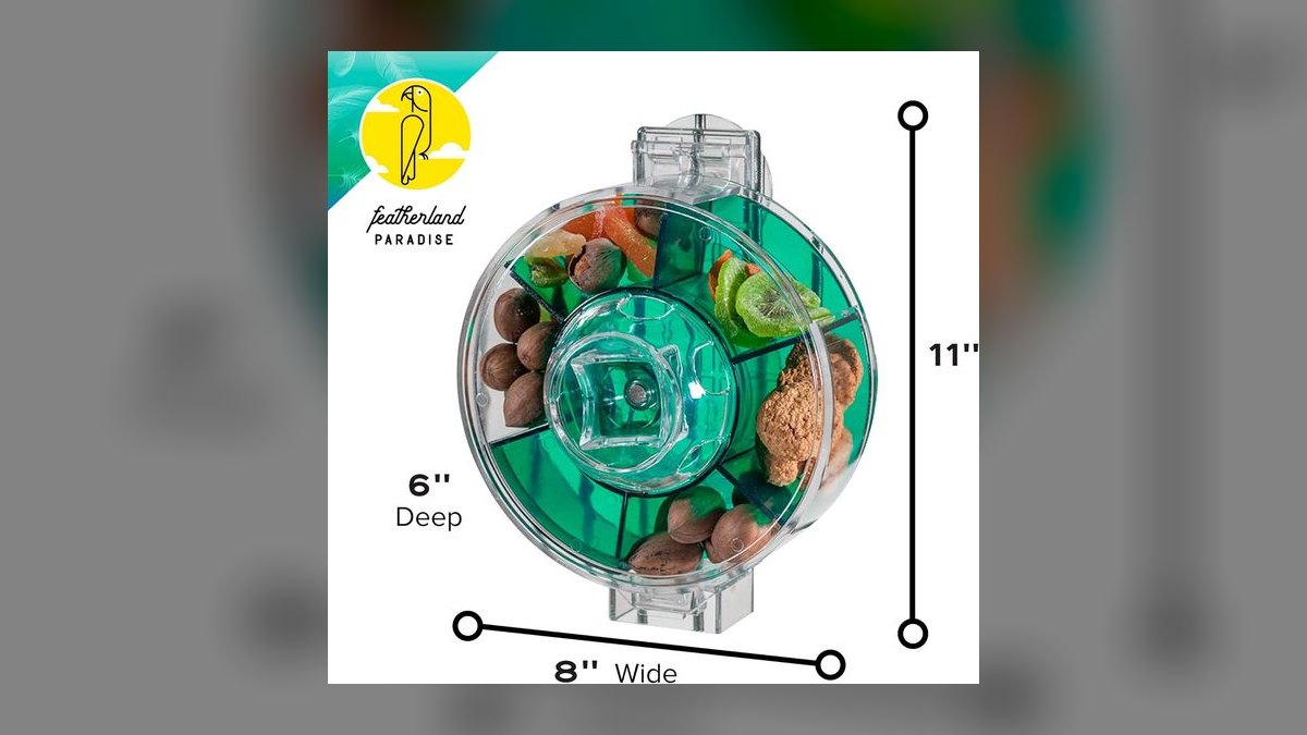 Top 10 Bird Play Gyms with Foraging Toys for Cockatiels in 2027 — figure 7