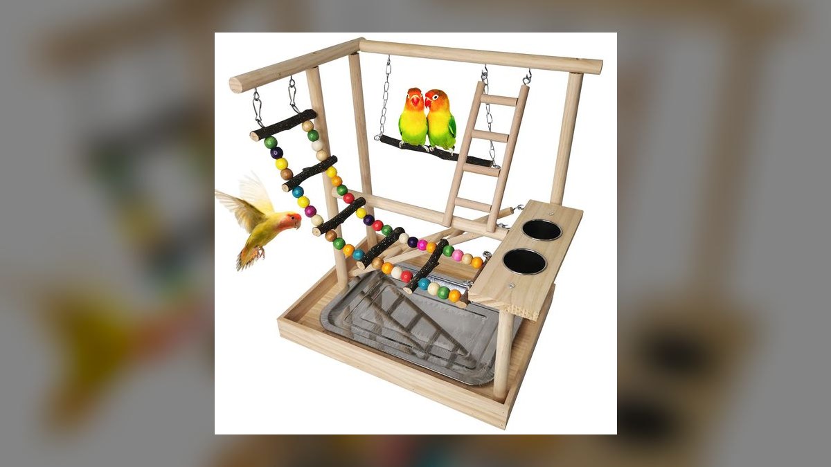 Top 10 Bird Play Gyms with Foraging Toys for Cockatiels in 2027 — figure 8