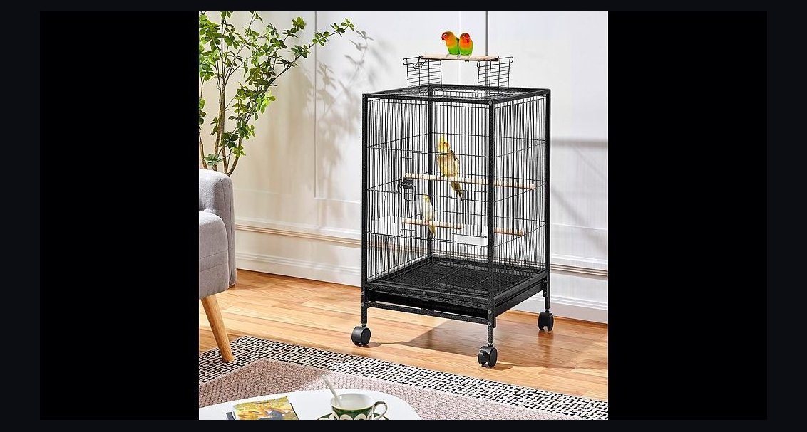 Top 10 Bird Play Gyms with Foraging Toys for Cockatiels in 2027