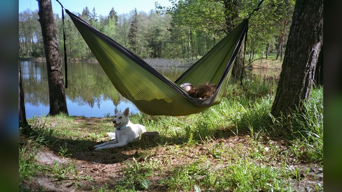 Top 10 Dog Seat Covers with Hammock Design for Picky Backseat Riders (2027) — figure 1