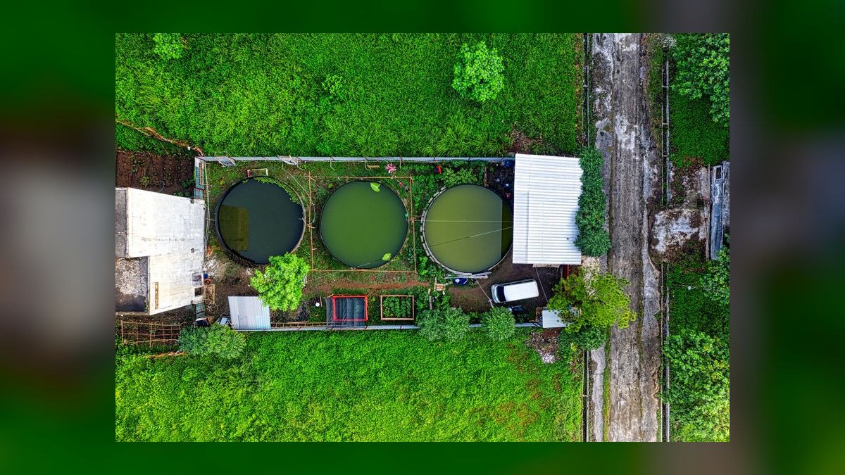 Top 10 UV Sterilizers for Green Water Control in Outdoor Ponds (2027) — figure 1
