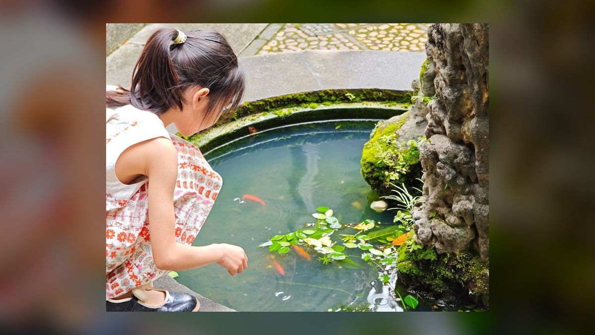 Top 10 UV Sterilizers for Green Water Control in Outdoor Ponds (2027) — figure 3