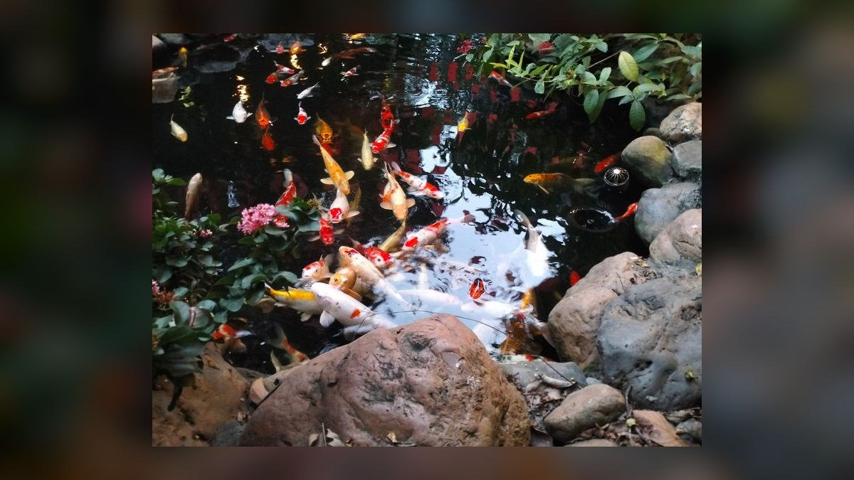 Top 10 UV Sterilizers for Green Water Control in Outdoor Ponds (2027) — figure 5