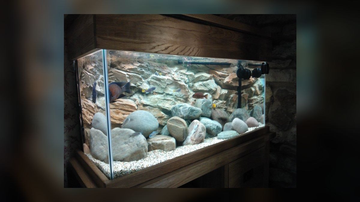 Top 10 Aquarium Backgrounds with 3D Rock Textures for Natural Tanks (2027) — figure 5