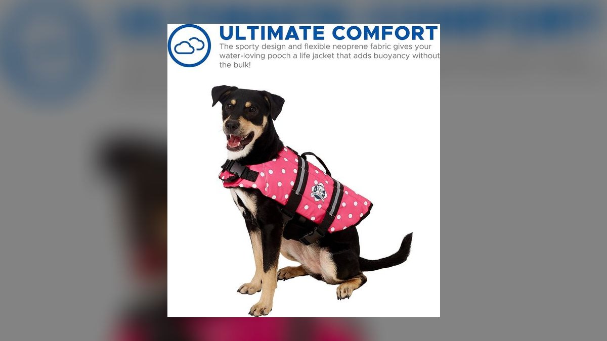 Top 10 Dog Pool Flotation Vests for Senior or Arthritic Breeds in 2027 — figure 1