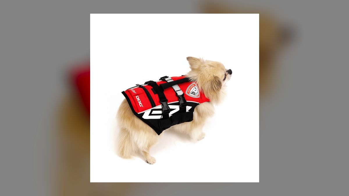 Top 10 Dog Pool Flotation Vests for Senior or Arthritic Breeds in 2027 — figure 10