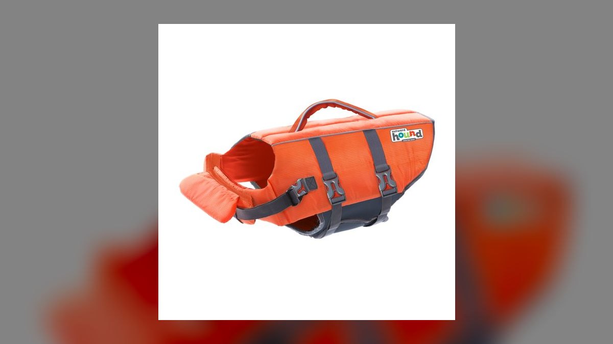 Top 10 Dog Pool Flotation Vests for Senior or Arthritic Breeds in 2027 — figure 3