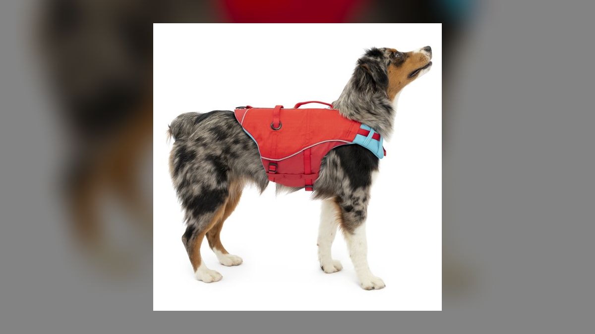 Top 10 Dog Pool Flotation Vests for Senior or Arthritic Breeds in 2027 — figure 5