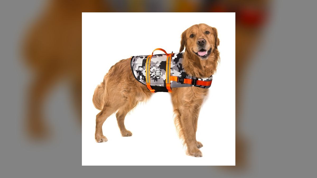 Top 10 Dog Pool Flotation Vests for Senior or Arthritic Breeds in 2027 — figure 7