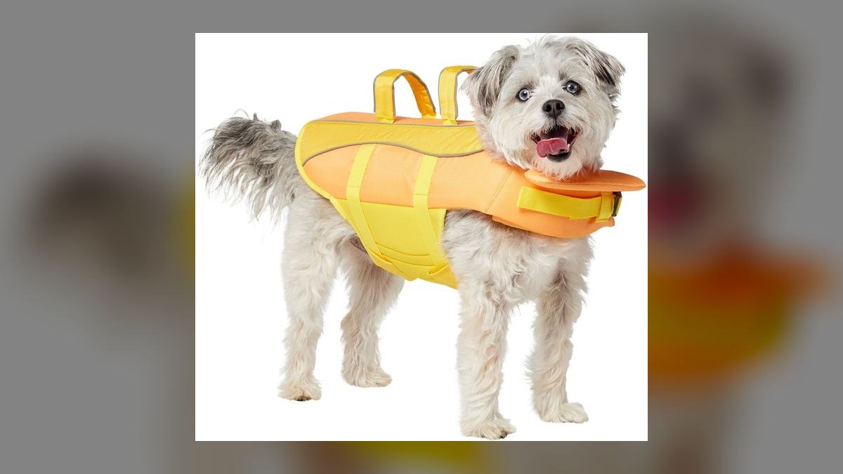 Top 10 Dog Pool Flotation Vests for Senior or Arthritic Breeds in 2027 — figure 8