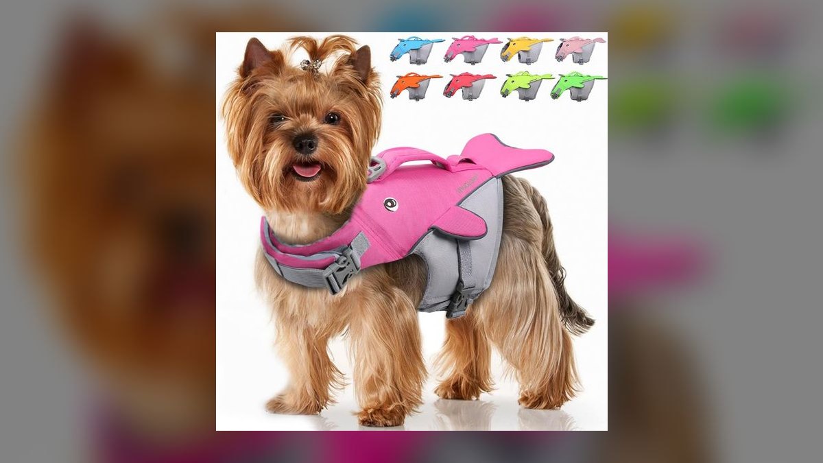 Top 10 Dog Pool Flotation Vests for Senior or Arthritic Breeds in 2027 — figure 9