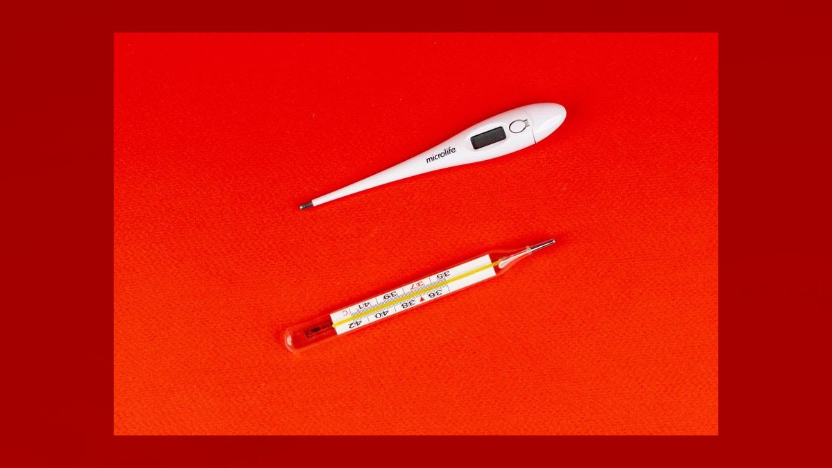 Top 10 Digital Thermometers with Alarms for Reptile Enclosures (2027) — figure 5