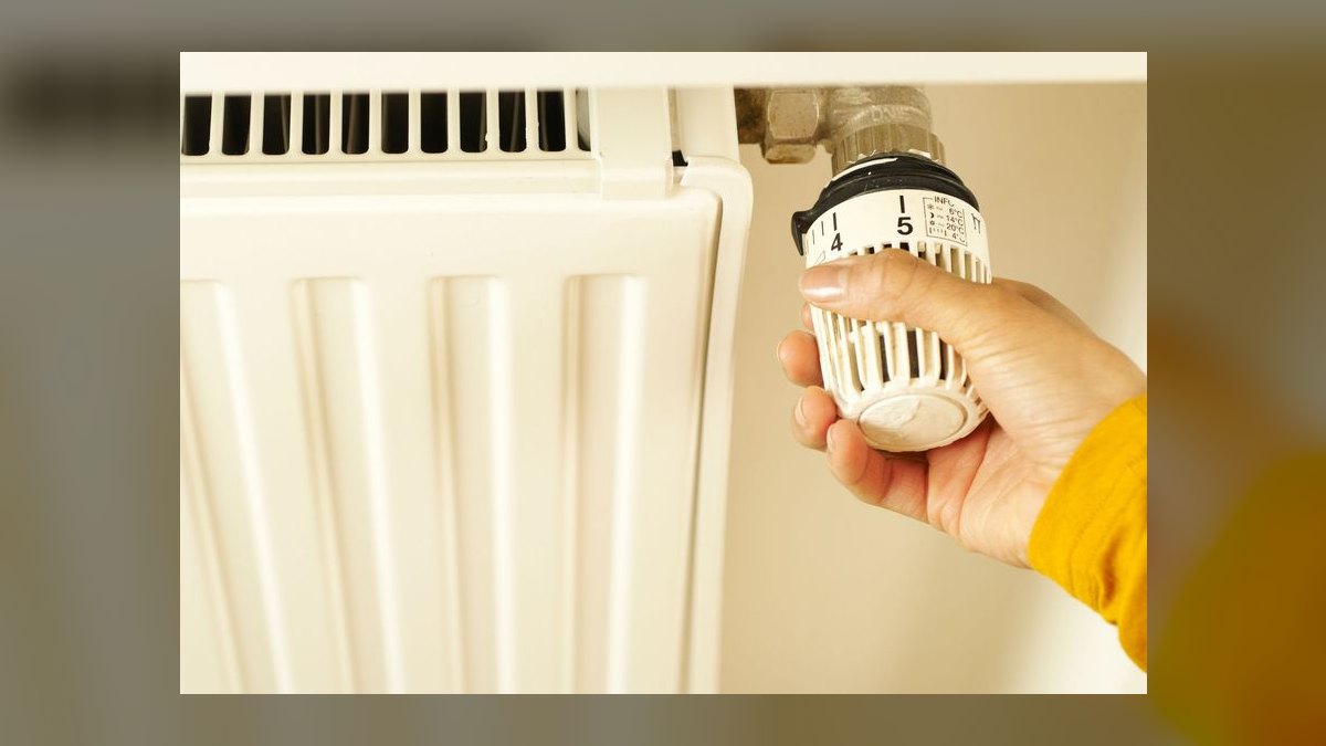 Top 10 Digital Thermometers with Alarms for Reptile Enclosures (2027) — figure 6