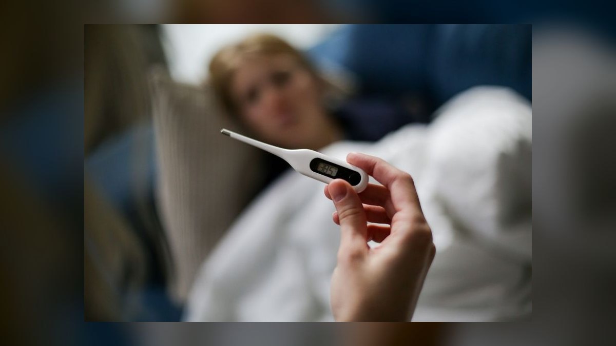 Top 10 Digital Thermometers with Alarms for Reptile Enclosures (2027) — figure 8