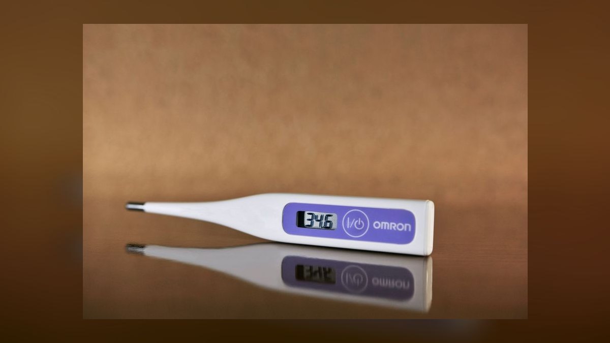 Top 10 Digital Thermometers with Alarms for Reptile Enclosures (2027) — figure 9