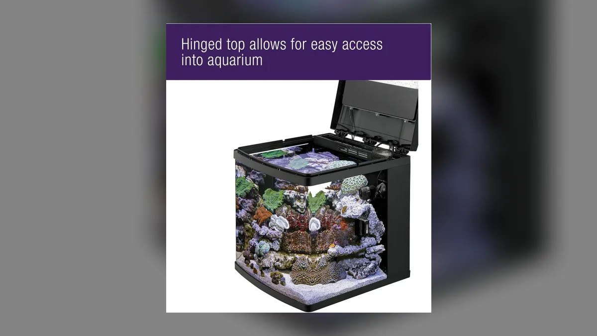 Top 10 Air Stones & Diffusers for Silent Operation in Bedroom Tanks (2027) — figure 10