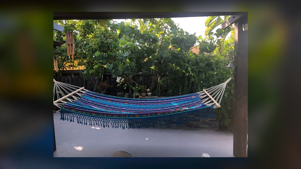 Top 10 Ferret Hammocks with Washable Liners for Multi-Ferret Homes (2027) — figure 10