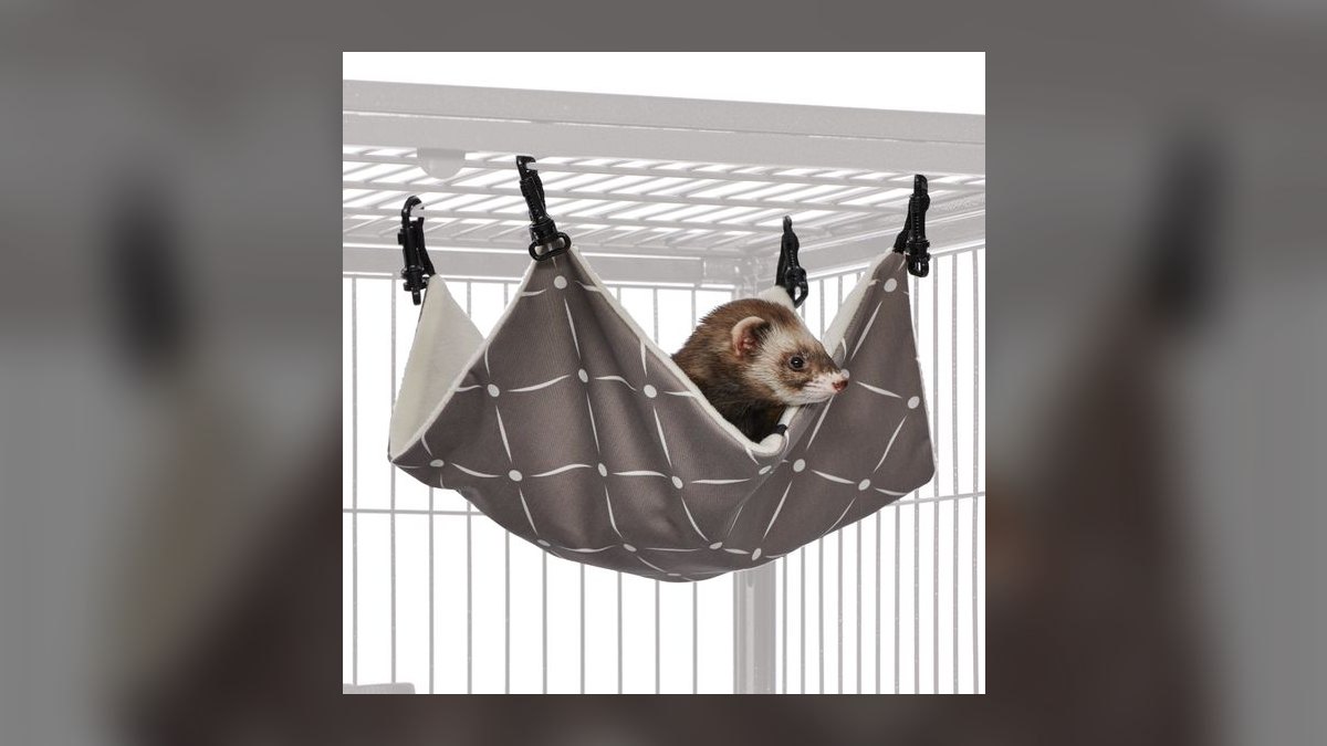 Top 10 Ferret Hammocks with Washable Liners for Multi-Ferret Homes (2027) — figure 2