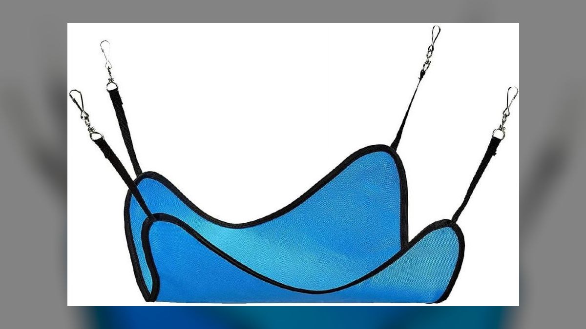 Top 10 Ferret Hammocks with Washable Liners for Multi-Ferret Homes (2027) — figure 3