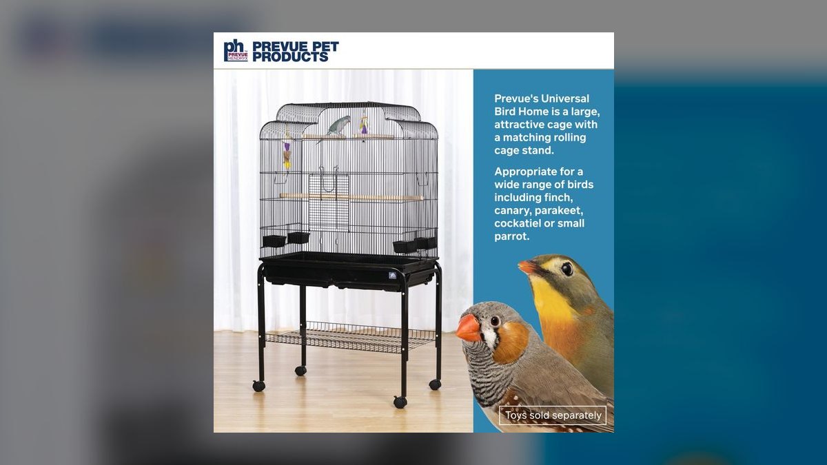 Top 10 Ferret Hammocks with Washable Liners for Multi-Ferret Homes (2027) — figure 5