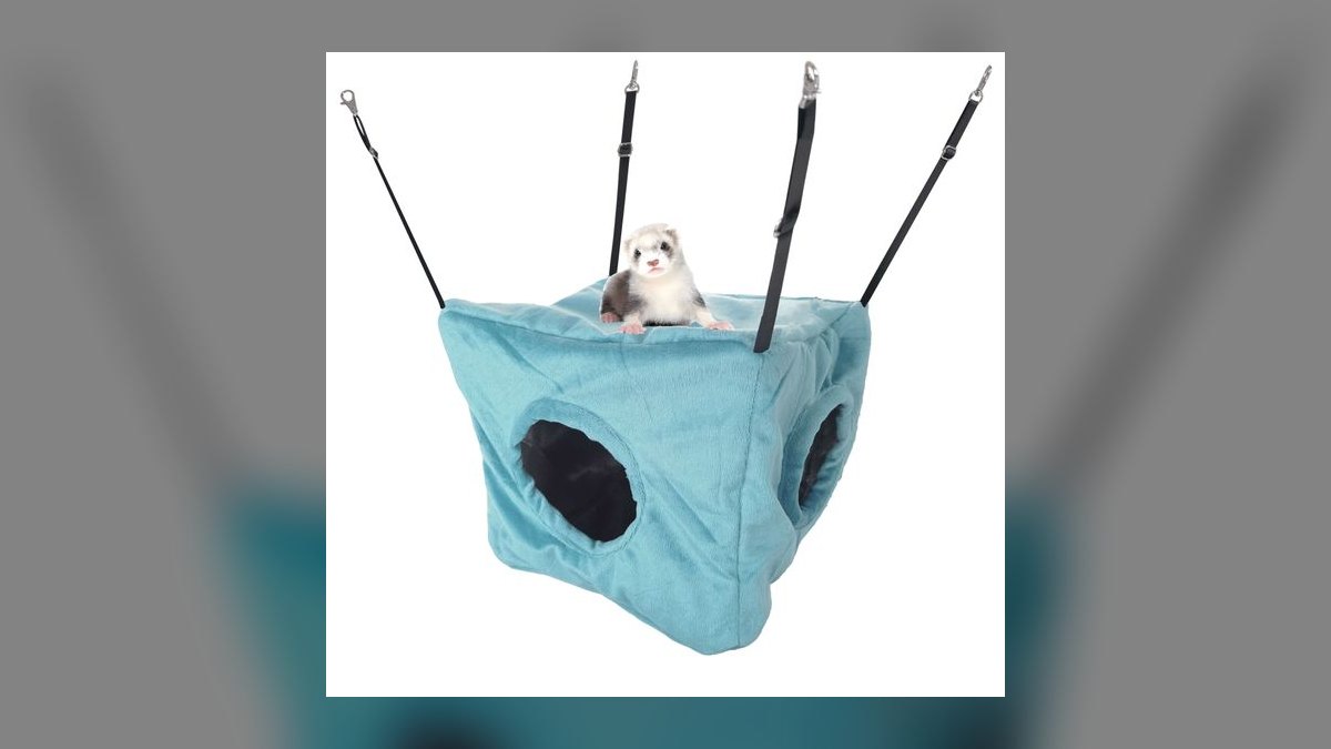 Top 10 Ferret Hammocks with Washable Liners for Multi-Ferret Homes (2027) — figure 7