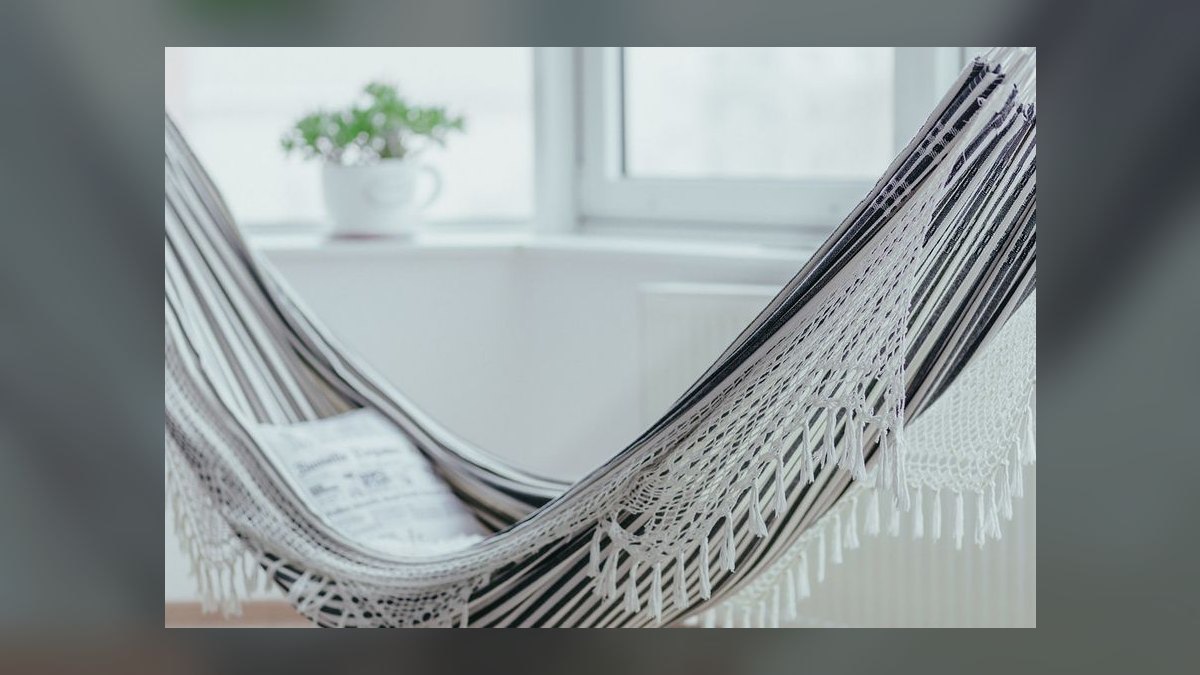 Top 10 Ferret Hammocks with Washable Liners for Multi-Ferret Homes (2027) — figure 8