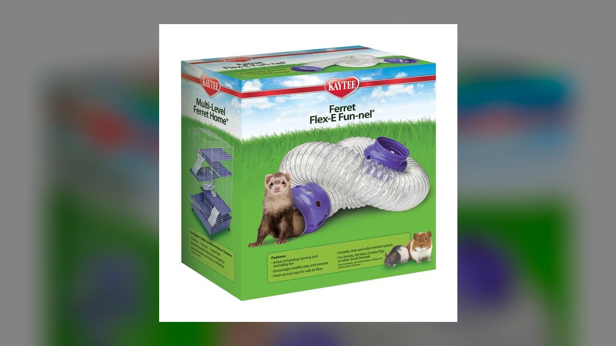 Top 10 Ferret Hammocks with Washable Liners for Multi-Ferret Homes (2027) — figure 9