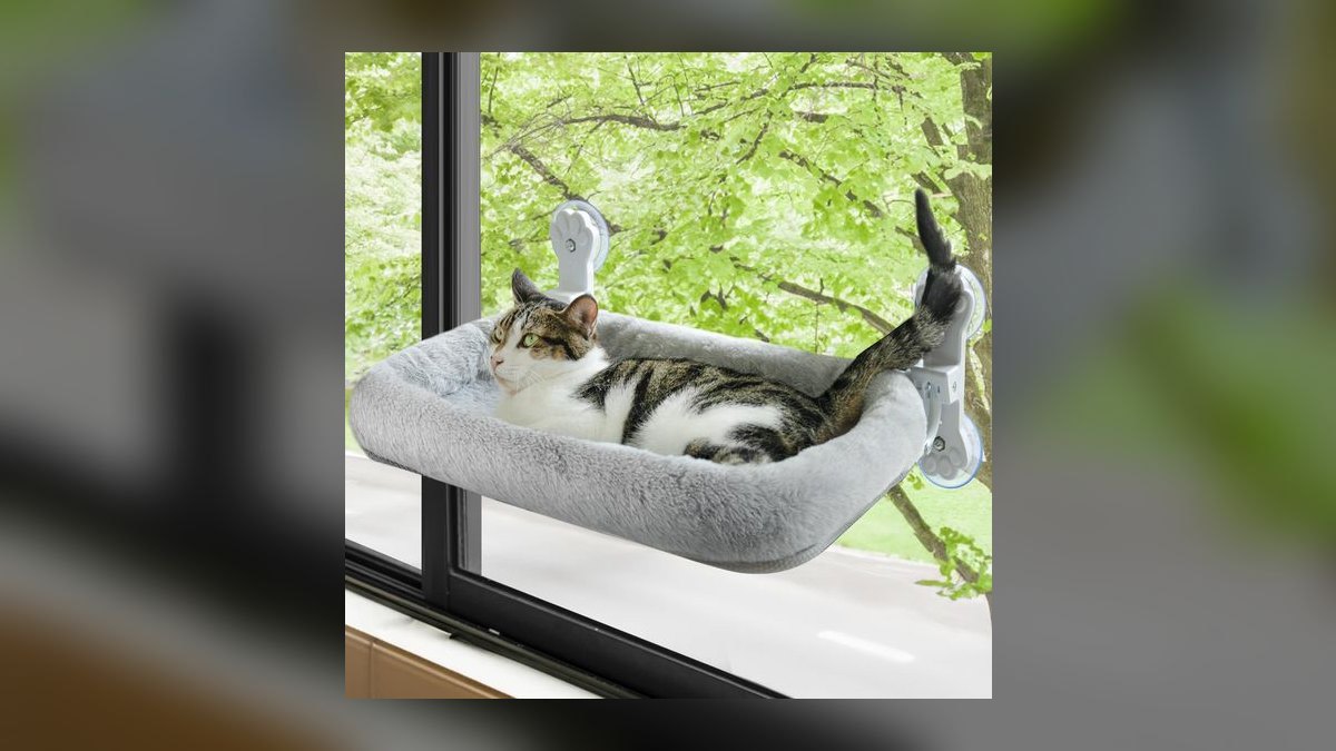 Top 10 Cat Window Perches with Suction Cups for Heavy Breeds (2027) — figure 10