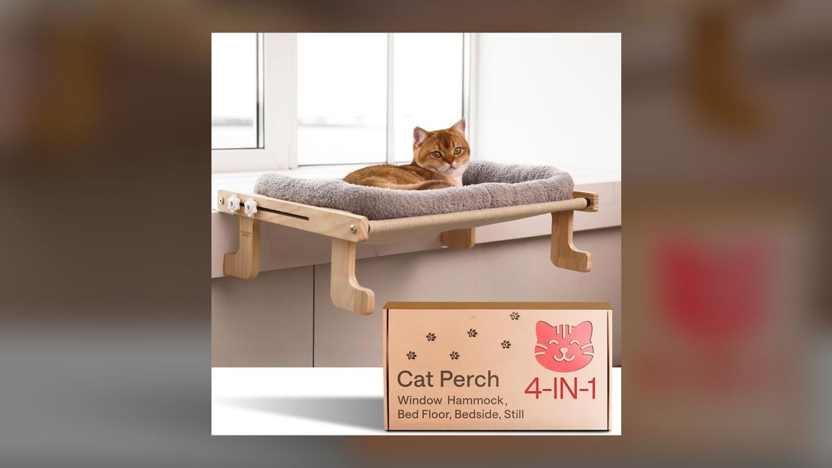 Top 10 Cat Window Perches with Suction Cups for Heavy Breeds (2027) — figure 4