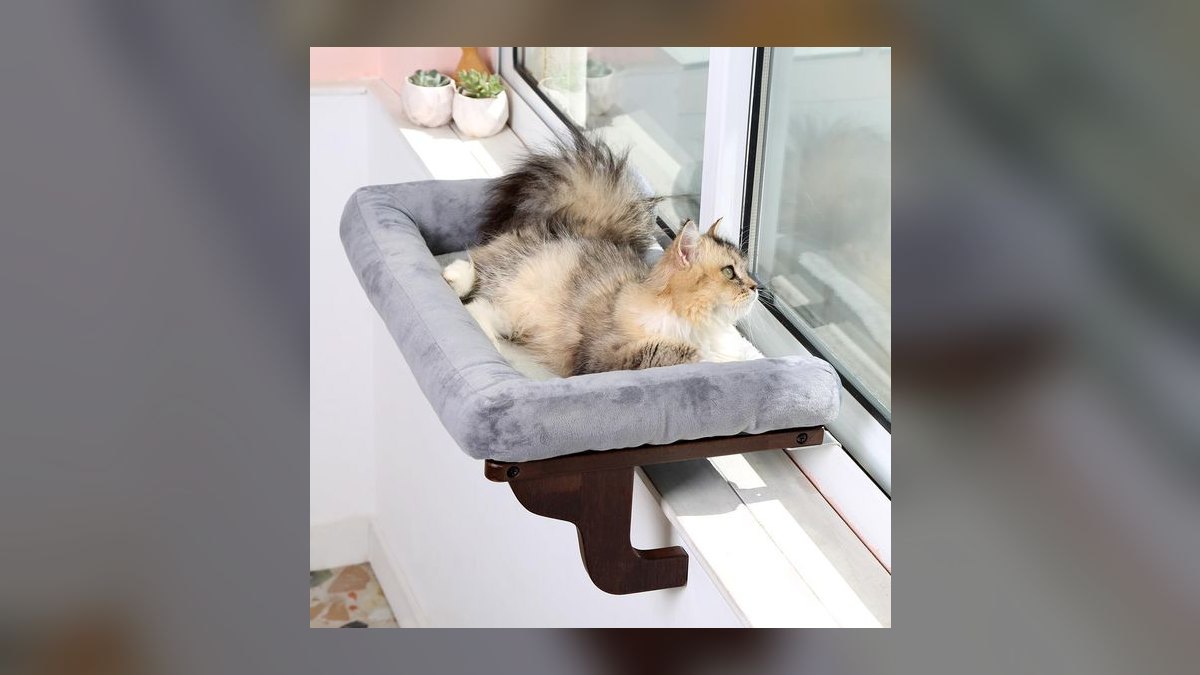 Top 10 Cat Window Perches with Suction Cups for Heavy Breeds (2027) — figure 5