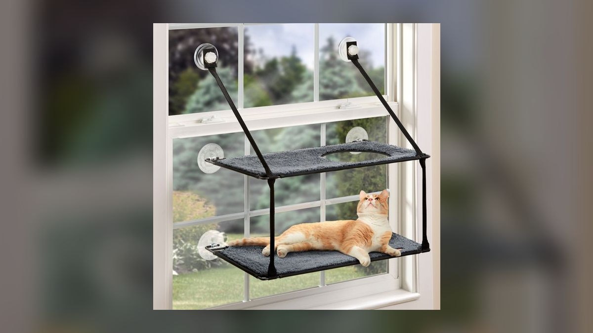 Top 10 Cat Window Perches with Suction Cups for Heavy Breeds (2027) — figure 6