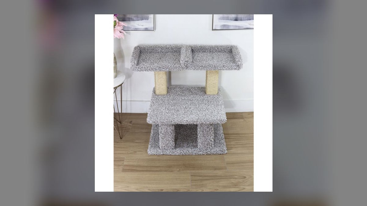 Top 10 Cat Window Perches with Suction Cups for Heavy Breeds (2027) — figure 7