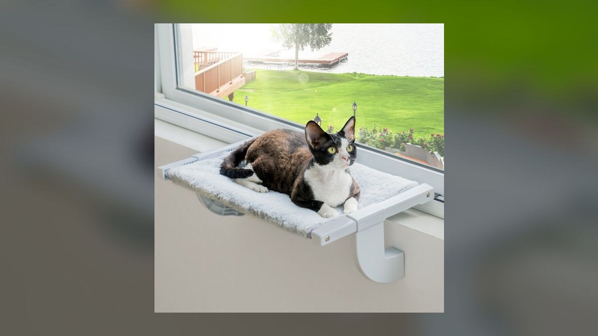 Top 10 Cat Window Perches with Suction Cups for Heavy Breeds (2027) — figure 8