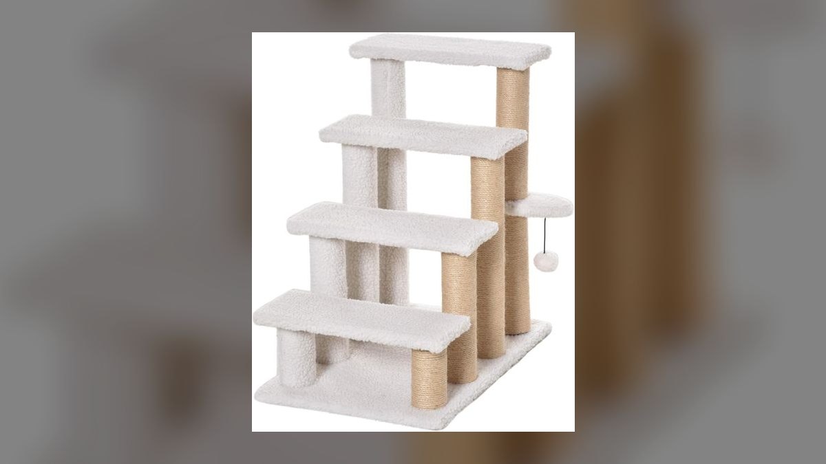 Top 10 Cat Window Perches with Suction Cups for Heavy Breeds (2027) — figure 9