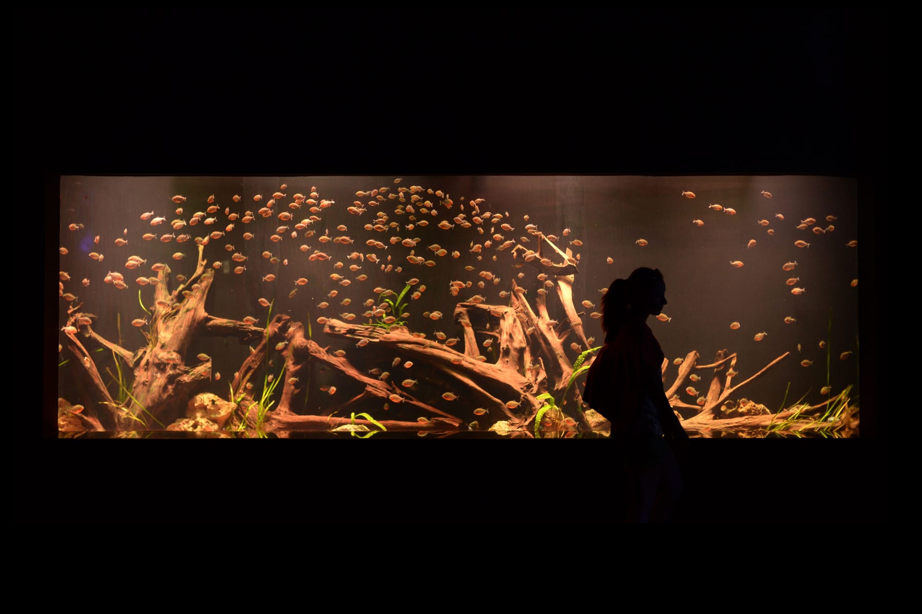 Top 10 Aquarium Glass Scrapers with Long Handles for Deep Tanks (2027) — figure 8