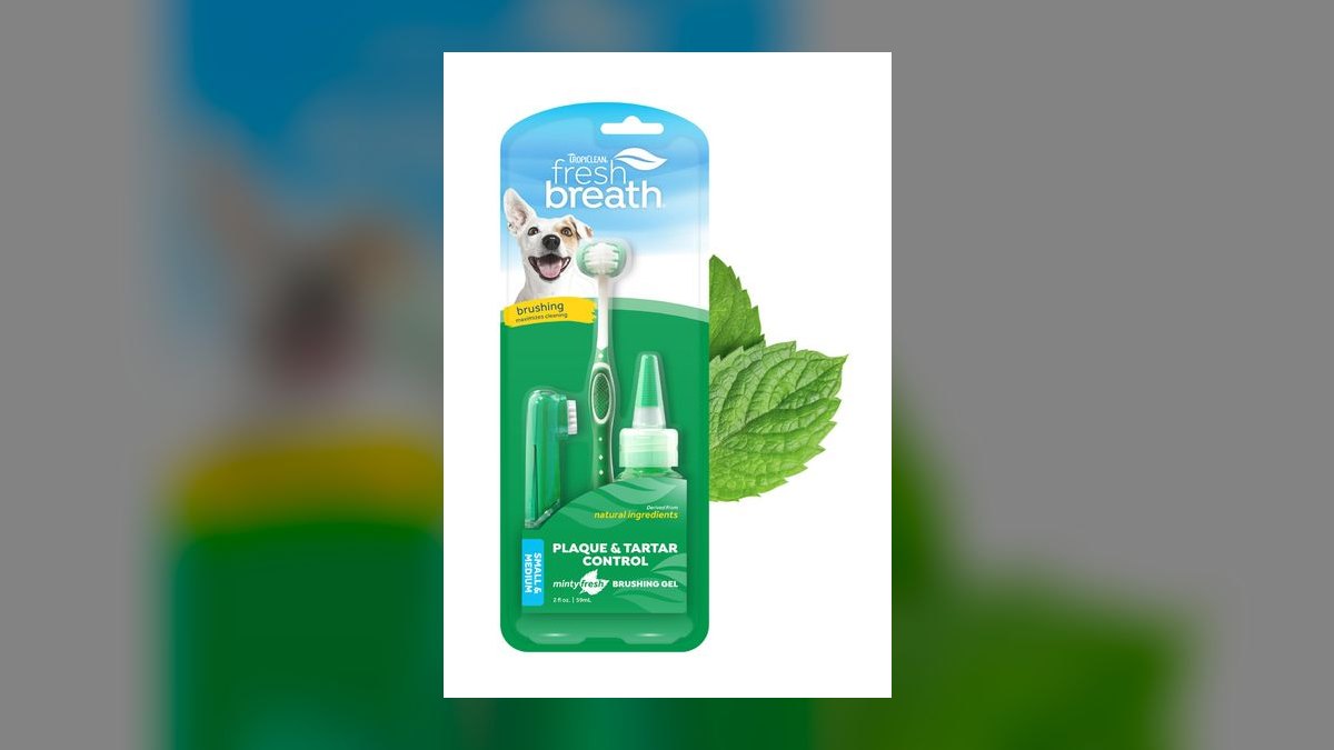 Top 10 Dog Toothbrushes with Ergonomic Grips for Anxious Pups (2027) — figure 10