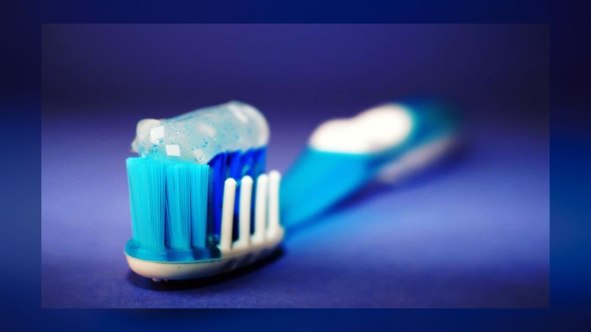 Top 10 Dog Toothbrushes with Ergonomic Grips for Anxious Pups (2027) — figure 3