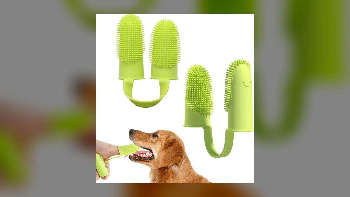 Top 10 Dog Toothbrushes with Ergonomic Grips for Anxious Pups (2027) — figure 5