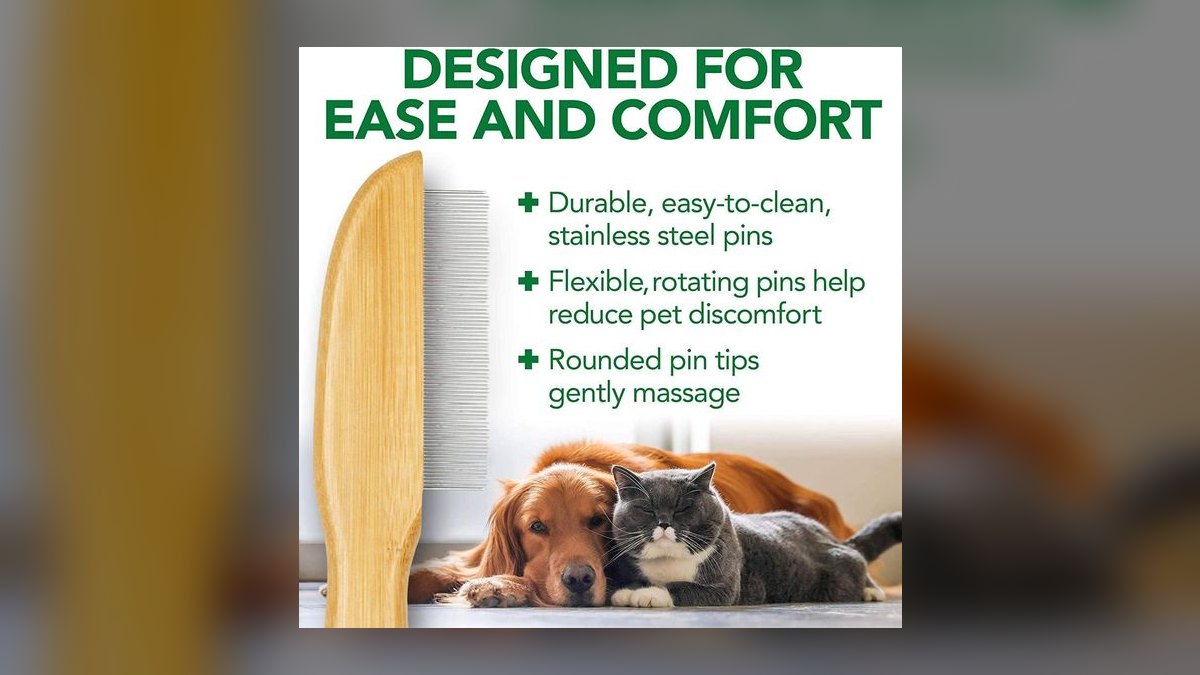 Top 10 Dog Toothbrushes with Ergonomic Grips for Anxious Pups (2027) — figure 6