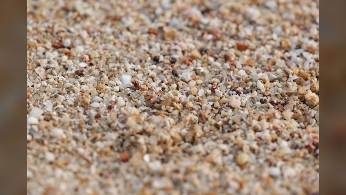 Can I use a sand substrate with an undergravel filter in a freshwater planted tank — figure 1